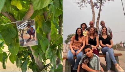 Plantas transformando vidas: volunt