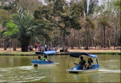 Domingo no Parque 