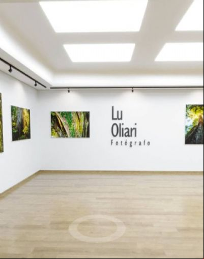 Arte e tecnologia se encontram na Galeria Flow para expor obras de MT para o mundo