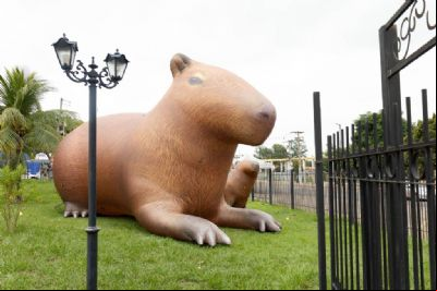 Capivara de quatro metros de altura chama aten