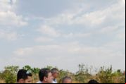 Deputado empurra avi