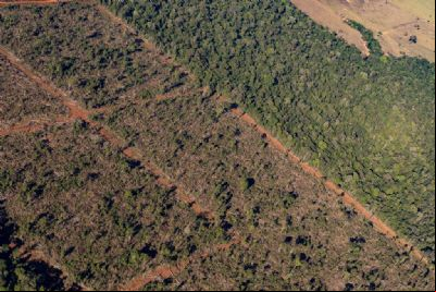 Crimes ambientais levam ao embargo de 1,86 milh