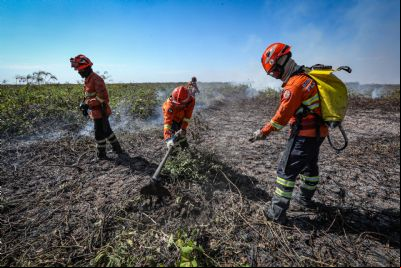 Mato Grosso tem 21 frentes de inc