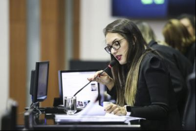 Janaina afirma que Mendes evitou politicagem com adiamento de projeto de divis