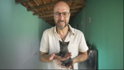 Projeto de Lei prev