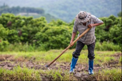 Agricultores precisam estar atentos 
