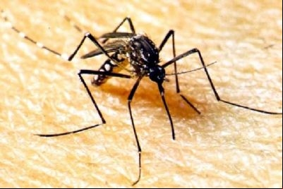 Jaciara decreta situa
