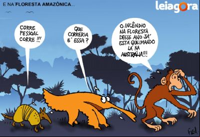 E na Floresta Amaz