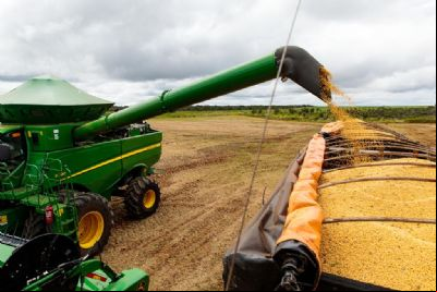 Impulsionado pelo agro, Mato Grosso deve ter maior crescimento do PIB em 2025