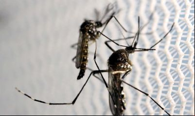 Aumenta preocupa