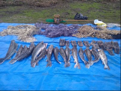 PM e Sema flagram pesca irregular em Bar